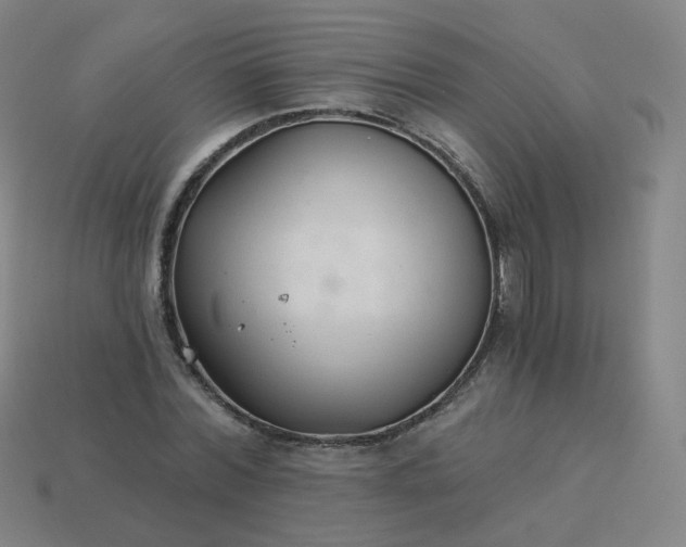 X0000114070780200910191521