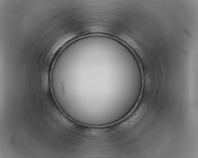 X0000114070782200910191521