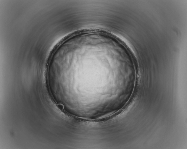 X0000114070783200910191521