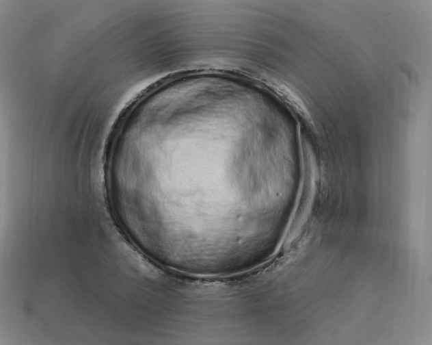 X0000114070784200910191521