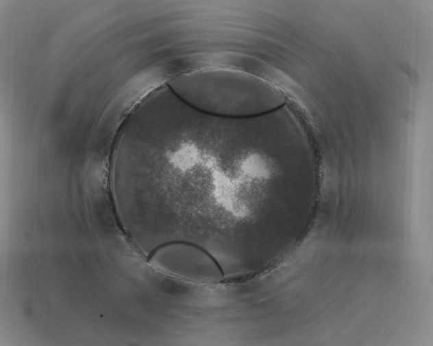 X0000114070785200910191521