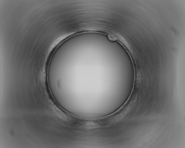 X0000114070787200910191521