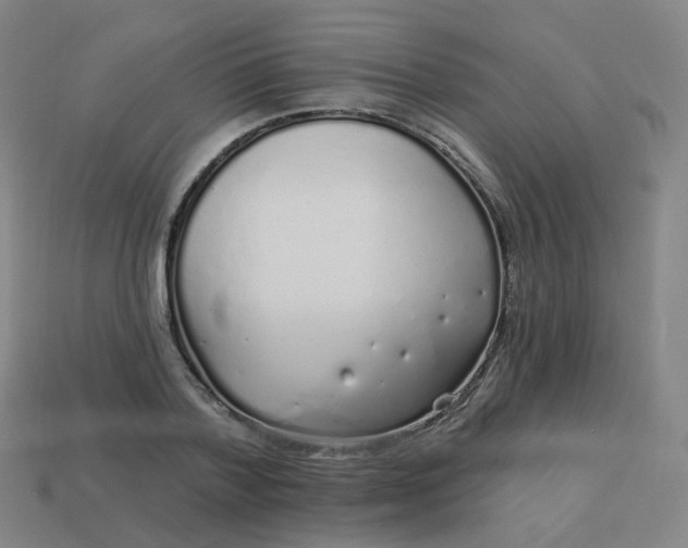 X0000114070788200910191521