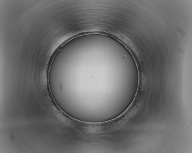 X0000114070789200910191521