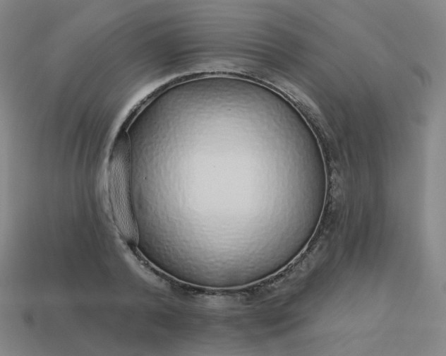 X0000114070792200910191521