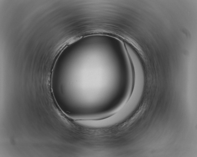 X0000114070793200910191521