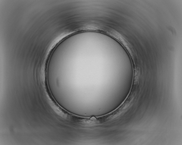 X0000114070795200910191521