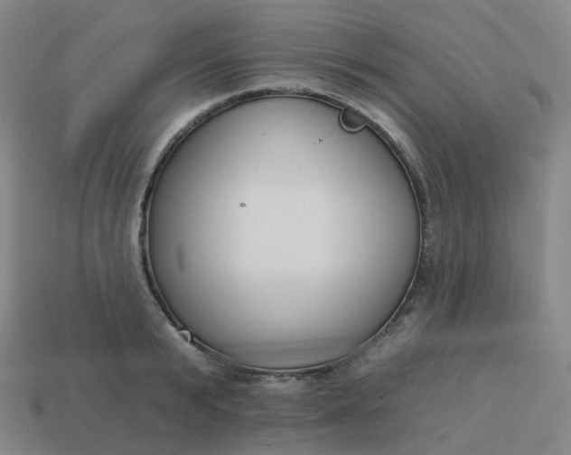 X0000114070799200910191521