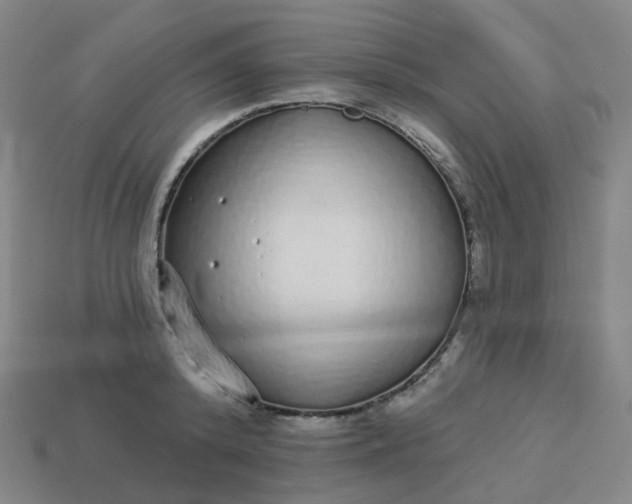 X0000114070800200910191521