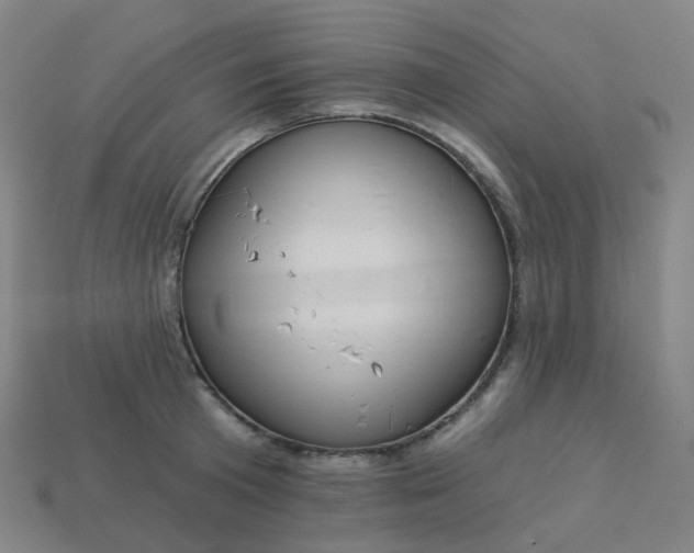 X0000114070801200910191521