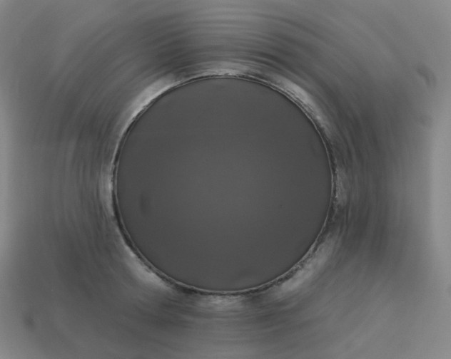 X0000114070802200910191521