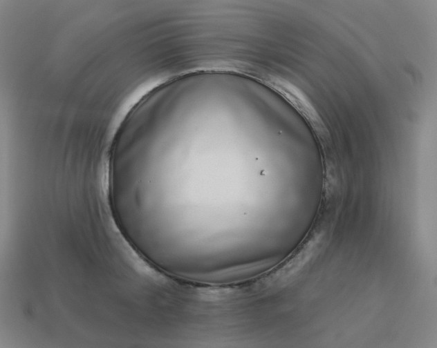 X0000114070804200910191521