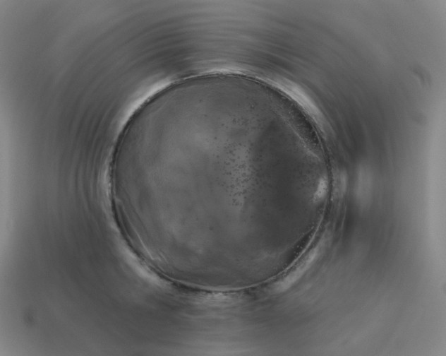 X0000114070806200910191521