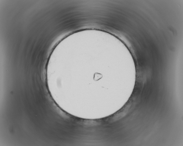 X0000114070807200910191521