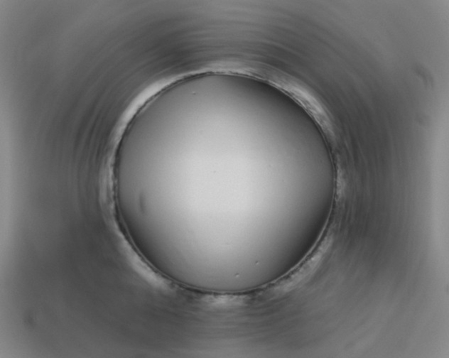 X0000114070808200910191521