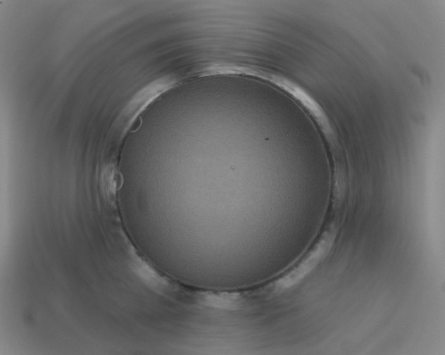 X0000114070809200910191521