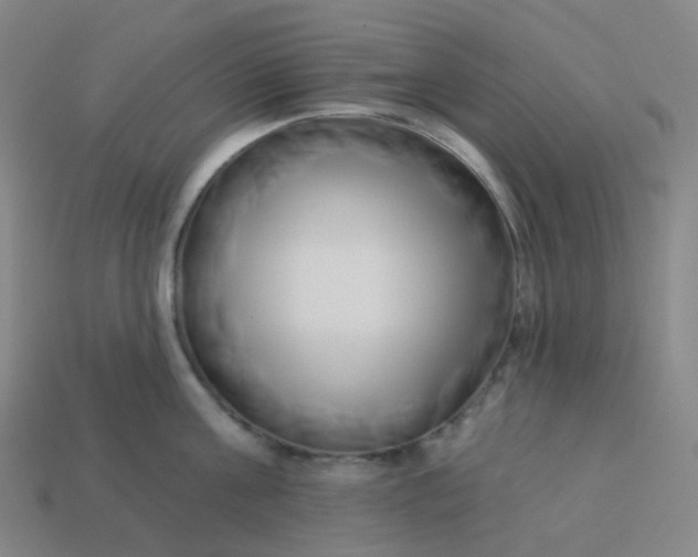 X0000114070811200910191521