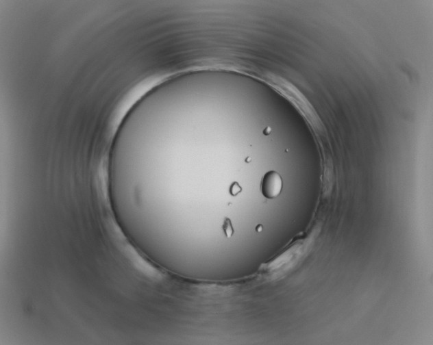 X0000114070812200910191521