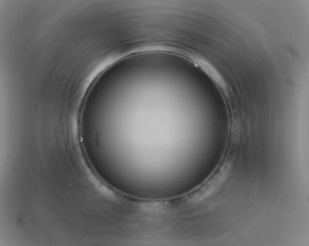 X0000114070813200910191521