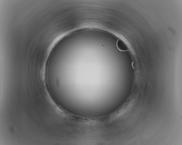 X0000114070815200910191521