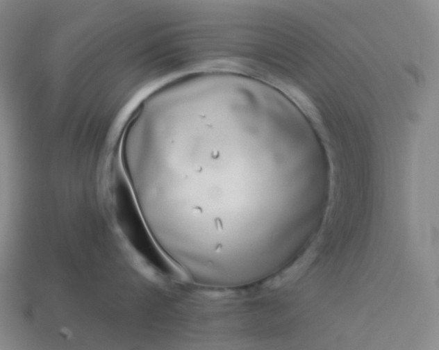 X0000114070816200910191521