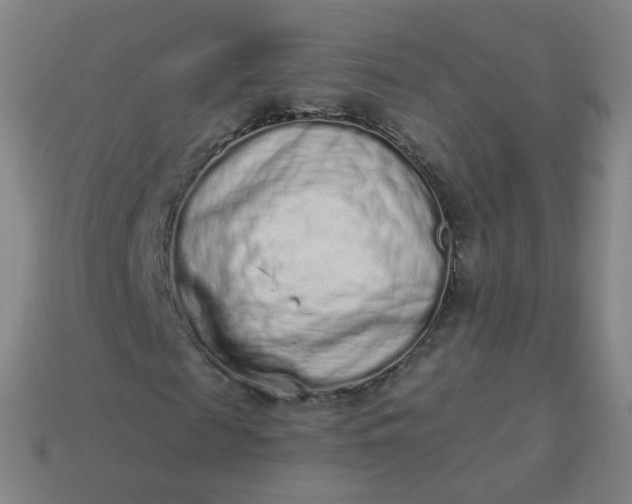 X0000114070817200910191520