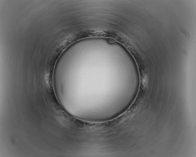 X0000114070819200910191520