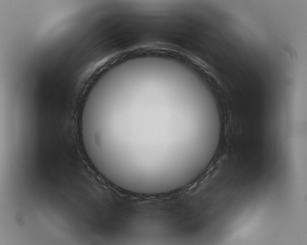 X0000114070822200910191520