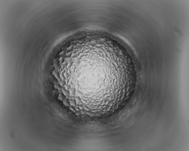 X0000114070823200910191520