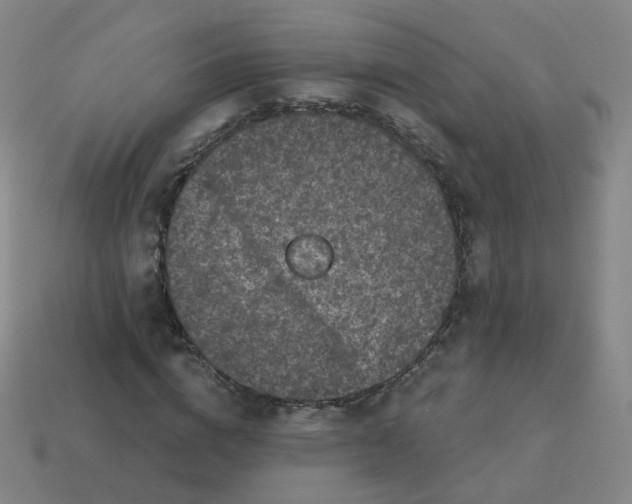 X0000114070824200910191520