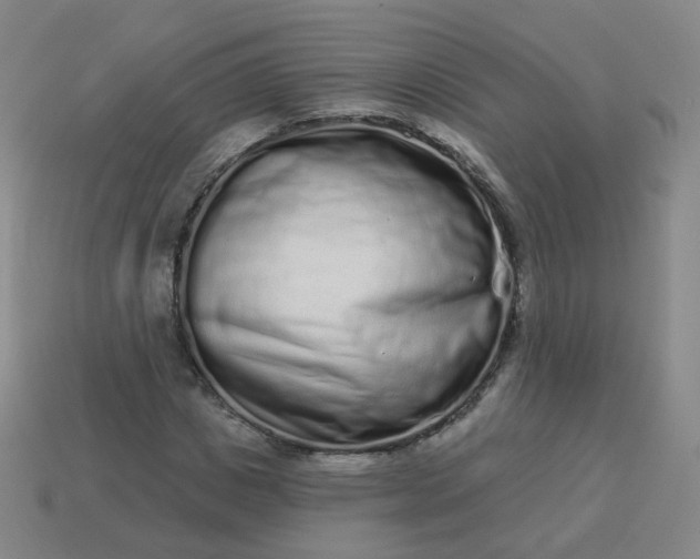 X0000114070825200910191520