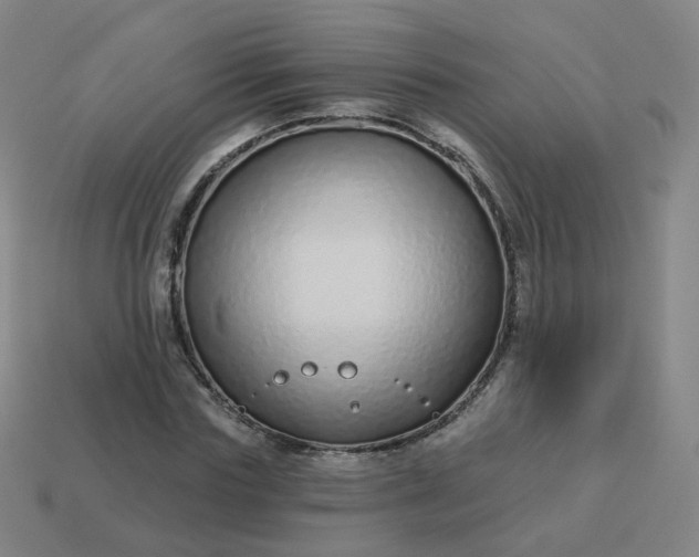 X0000114070827200910191520