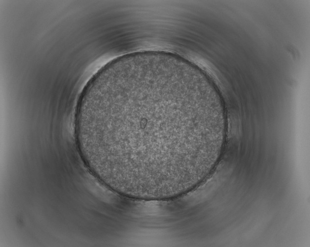 X0000114070828200910191520