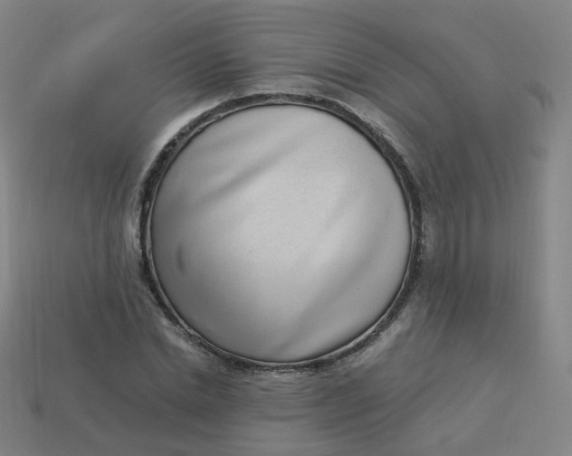 X0000114070830200910191520