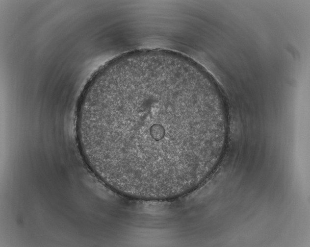 X0000114070832200910191520