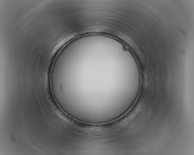 X0000114070834200910191520