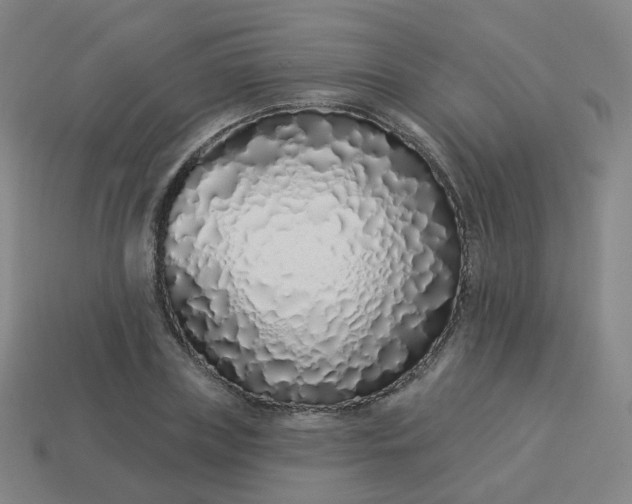 X0000114070835200910191520