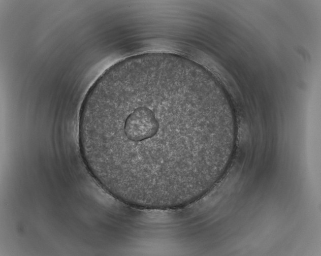 X0000114070836200910191520