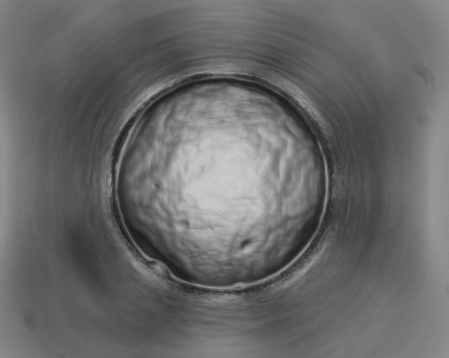 X0000114070837200910191520