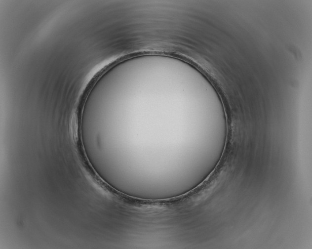 X0000114070838200910191520