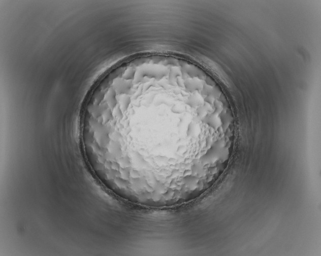 X0000114070839200910191520