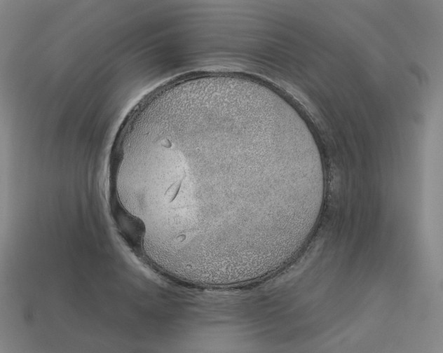 X0000114070840200910191520