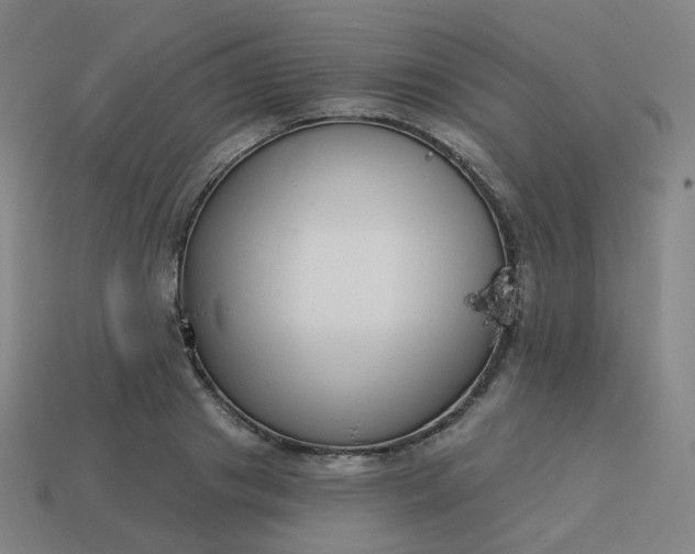 X0000114070841200910191520