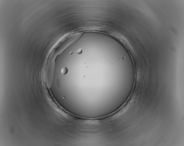 X0000114070844200910191520