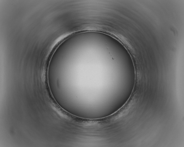 X0000114070846200910191520