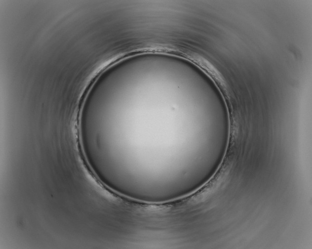 X0000114070847200910191520