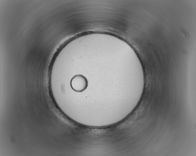 X0000114070848200910191520