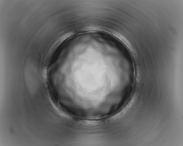 X0000114070849200910191520