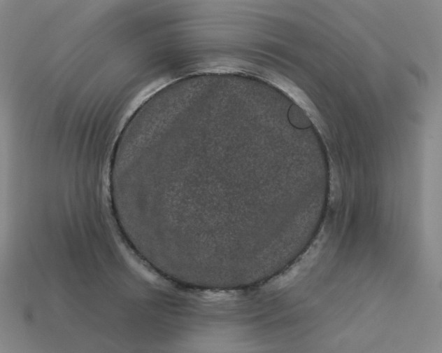 X0000114070850200910191520