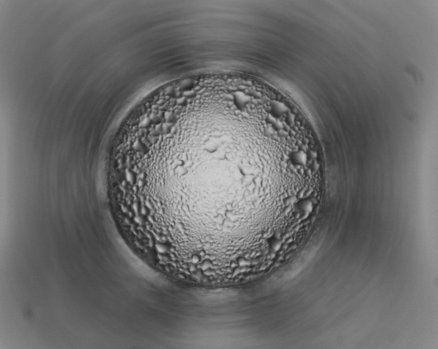 X0000114070851200910191520